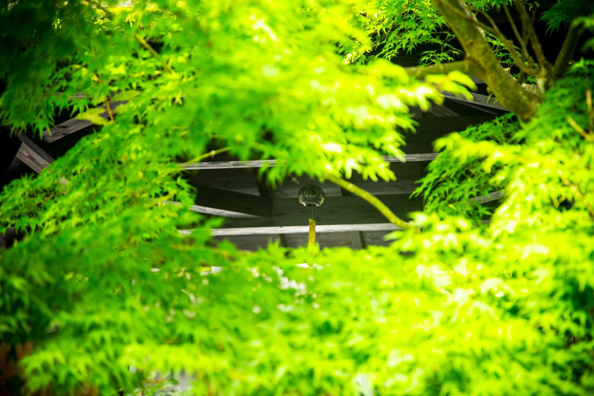 료칸 여명 旅館 黎明 Ryokan Reimei Jufu Exteriér fotografie