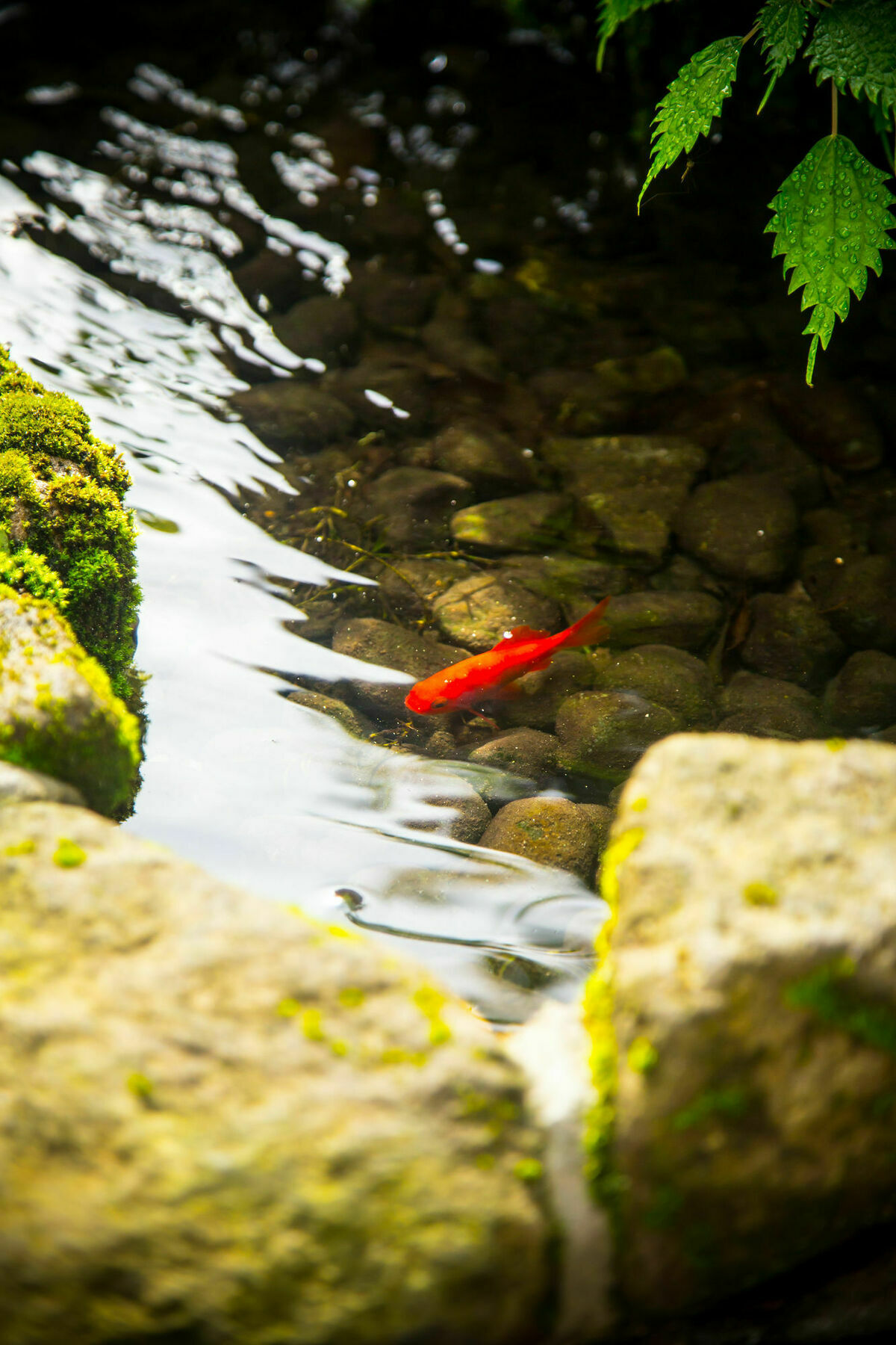 료칸 여명 旅館 黎明 Ryokan Reimei Jufu Exteriér fotografie